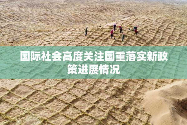 国际社会高度关注国重落实新政策进展情况