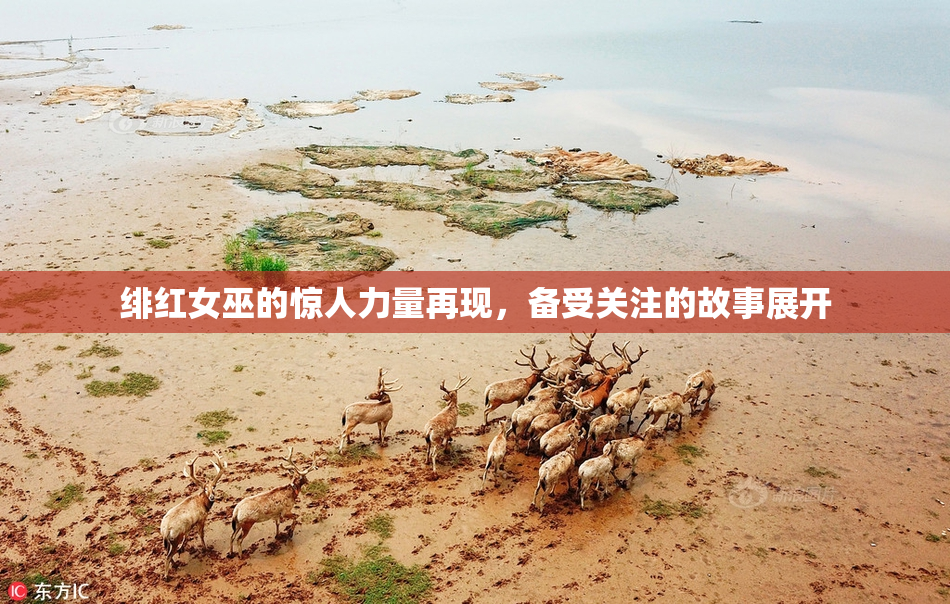 绯红女巫的惊人力量再现，备受关注的故事展开