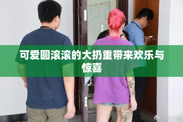 可爱圆滚滚的大扔重带来欢乐与惊喜