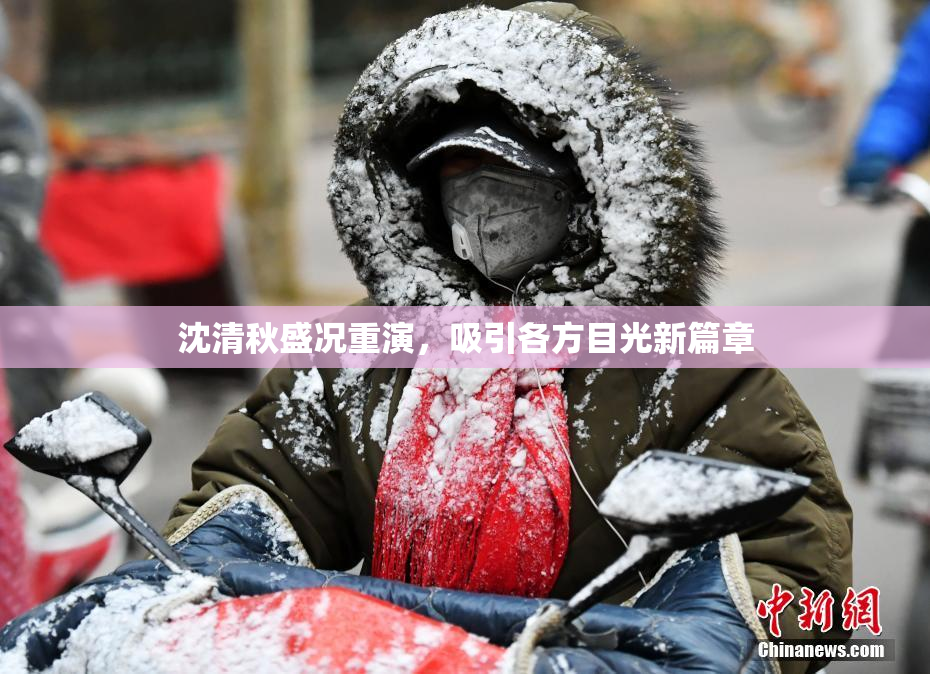 沈清秋盛况重演，吸引各方目光新篇章