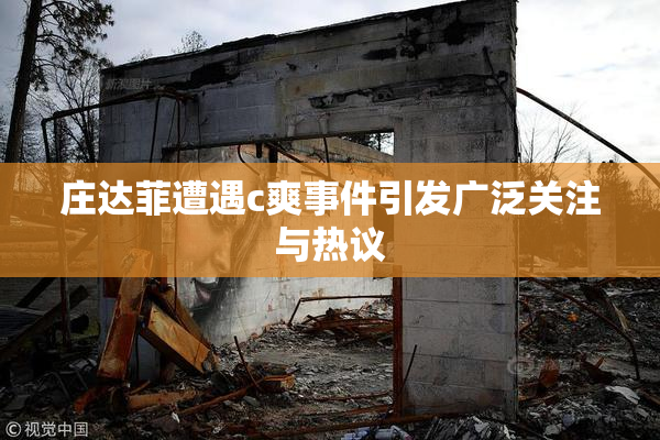 庄达菲遭遇c爽事件引发广泛关注与热议