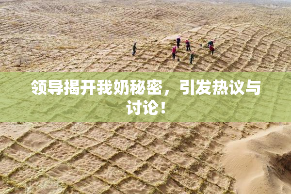 领导揭开我奶秘密，引发热议与讨论！