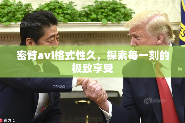 密臂avi格式性久，探索每一刻的极致享受
