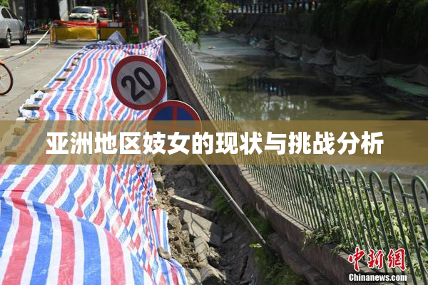 亚洲地区妓女的现状与挑战分析