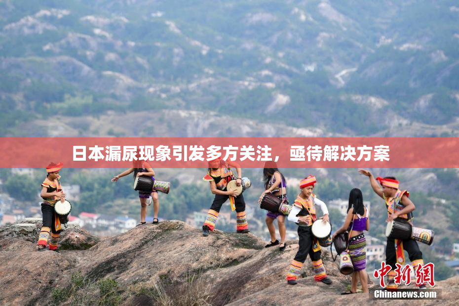 日本漏尿现象引发多方关注，亟待解决方案