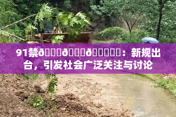 91禁🍆🍑🔞❌‌：新规出台，引发社会广泛关注与讨论