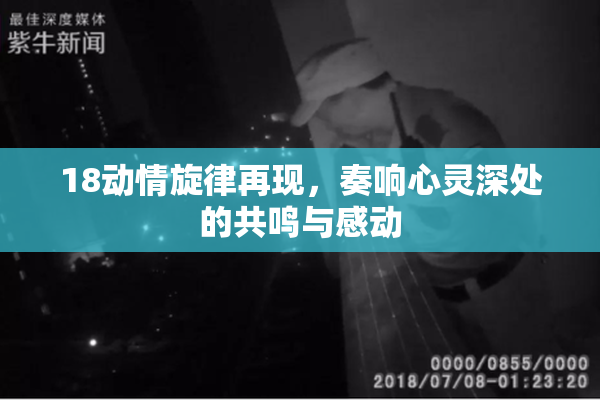 18动情旋律再现，奏响心灵深处的共鸣与感动
