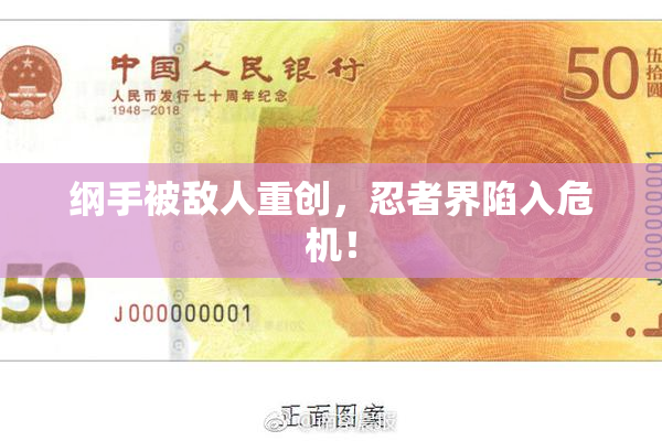 纲手被敌人重创，忍者界陷入危机！