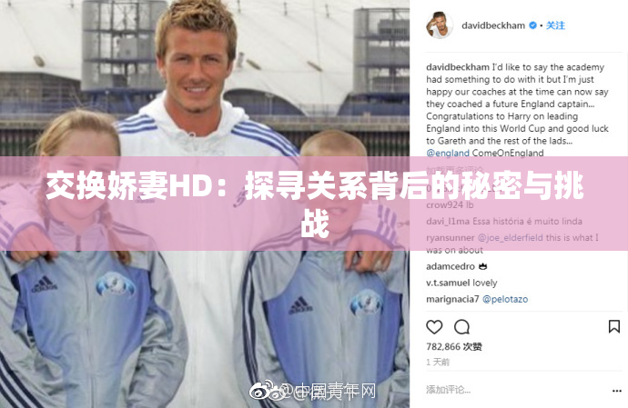 交换娇妻HD：探寻关系背后的秘密与挑战