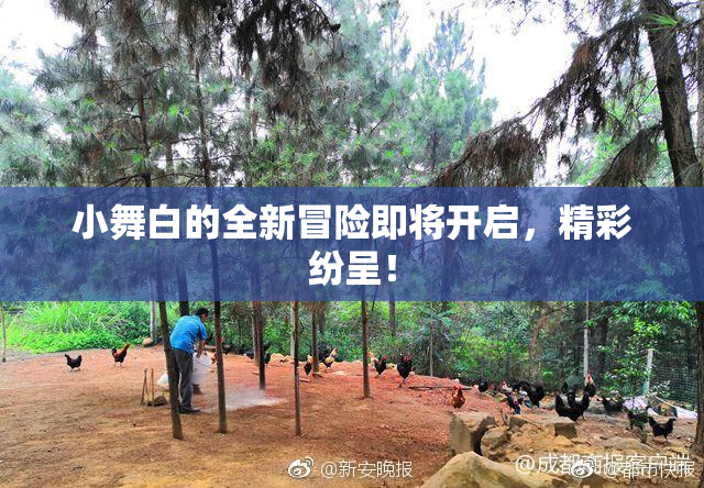 小舞白的全新冒险即将开启，精彩纷呈！