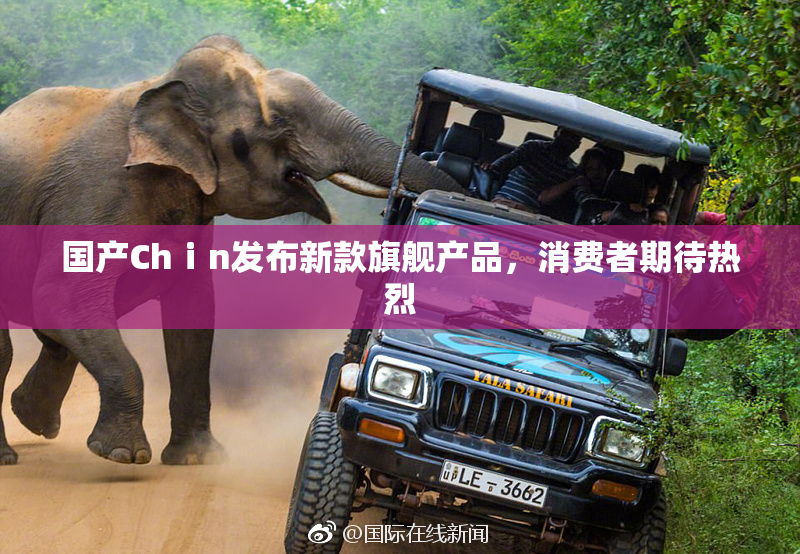 国产Chⅰn发布新款旗舰产品，消费者期待热烈
