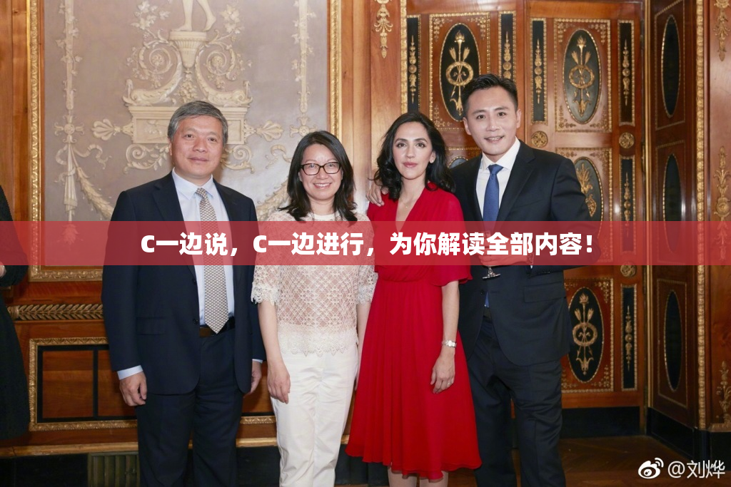 C一边说，C一边进行，为你解读全部内容！