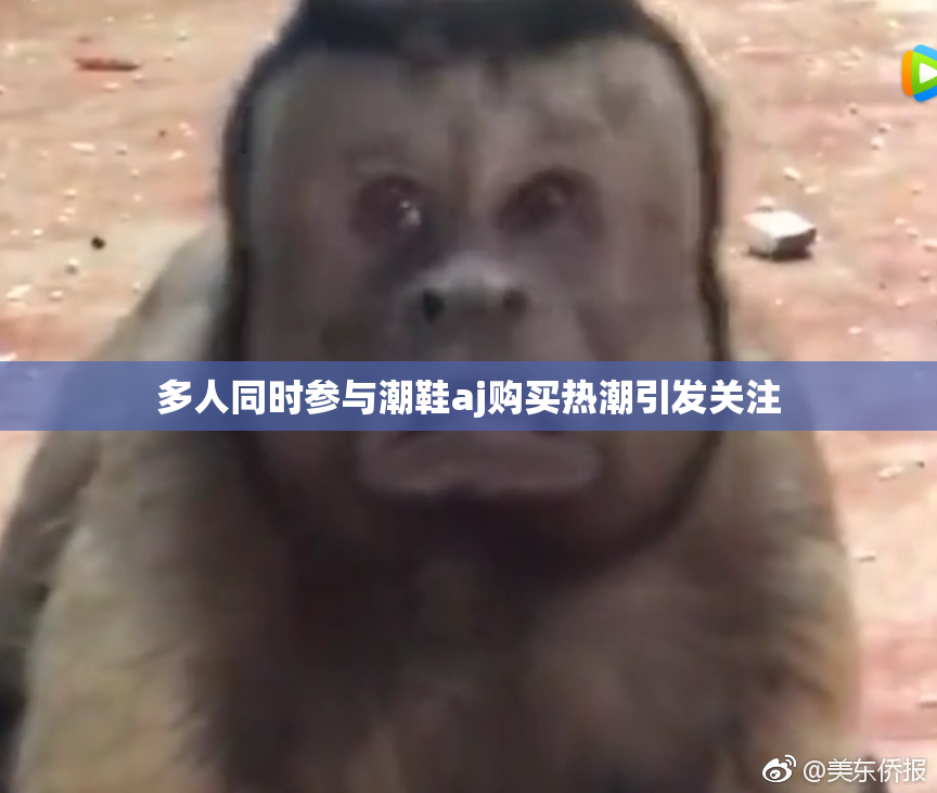多人同时参与潮鞋aj购买热潮引发关注