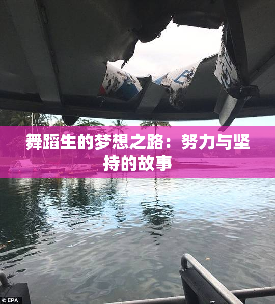 舞蹈生的梦想之路：努力与坚持的故事