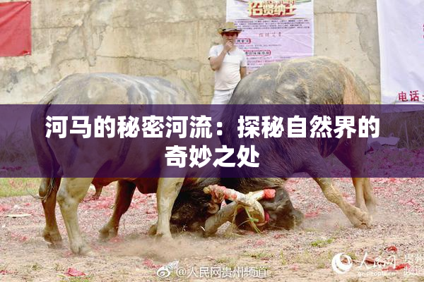 河马的秘密河流：探秘自然界的奇妙之处