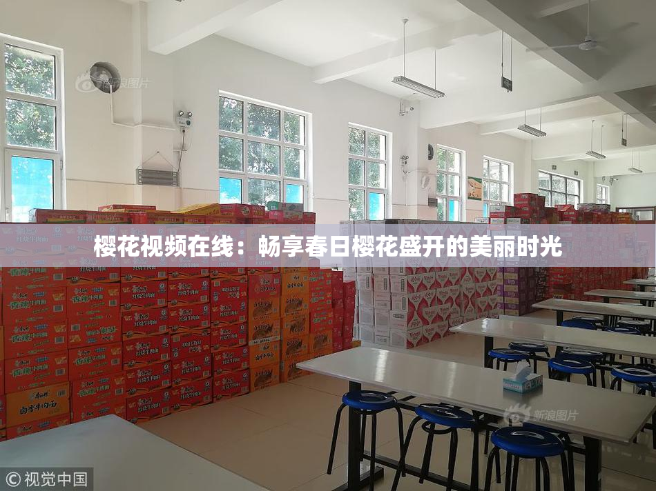 樱花视频在线：畅享春日樱花盛开的美丽时光