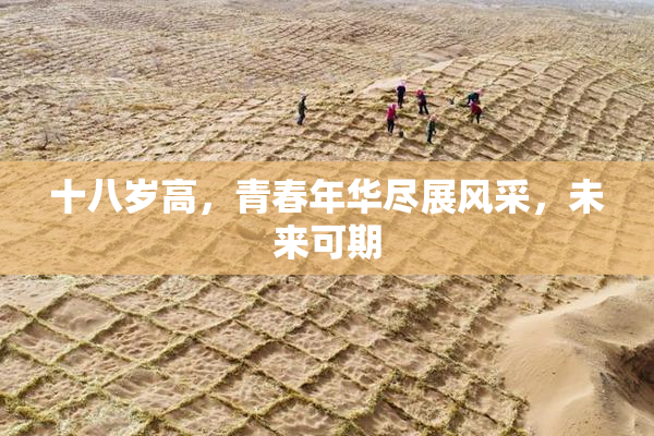 十八岁高，青春年华尽展风采，未来可期