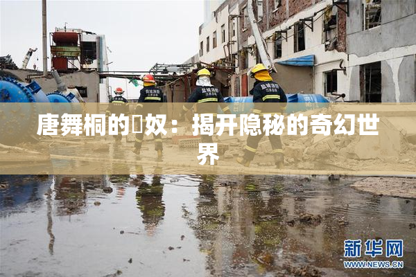 唐舞桐的婬奴：揭开隐秘的奇幻世界