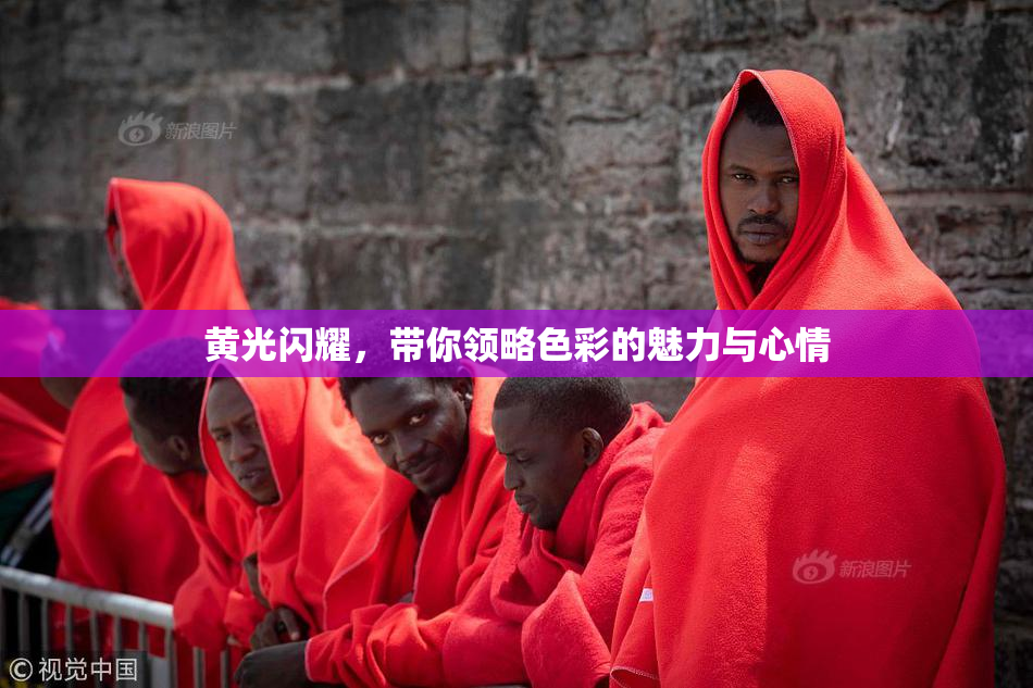 黄光闪耀，带你领略色彩的魅力与心情