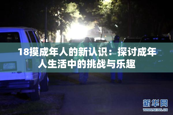 18摸成年人的新认识：探讨成年人生活中的挑战与乐趣