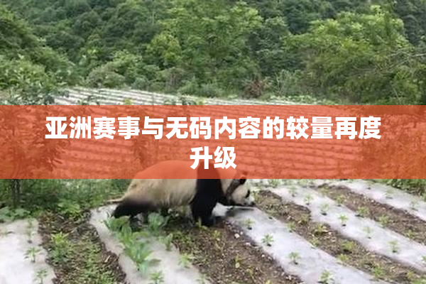 亚洲赛事与无码内容的较量再度升级