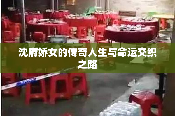 沈府娇女的传奇人生与命运交织之路