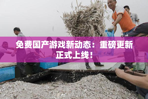 免费国产游戏新动态：重磅更新正式上线！