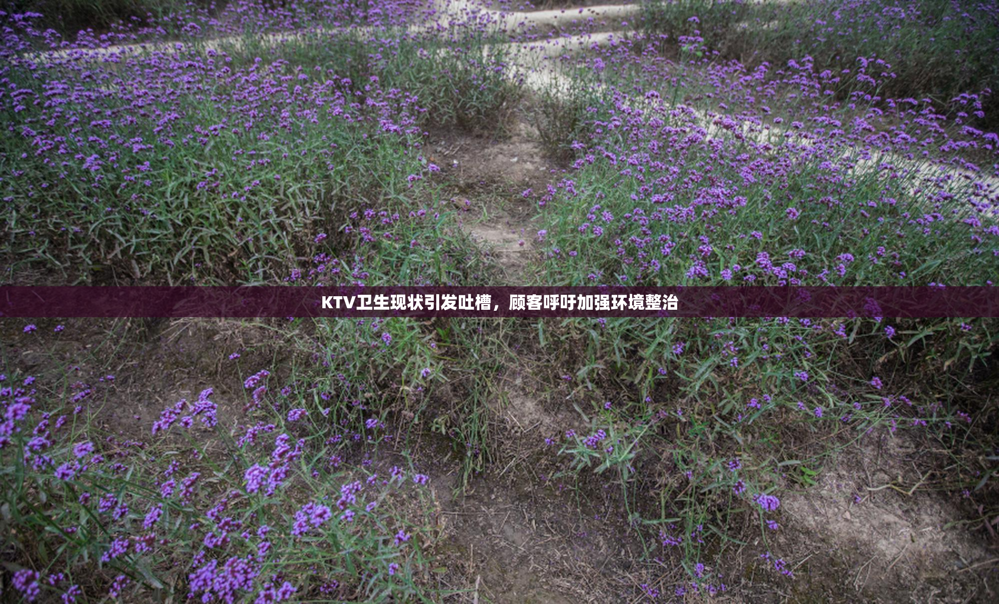 KTV卫生现状引发吐槽，顾客呼吁加强环境整治