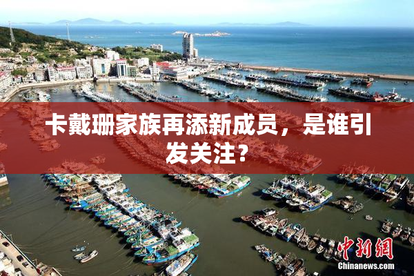 卡戴珊家族再添新成员，是谁引发关注？