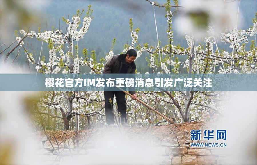 樱花官方IM发布重磅消息引发广泛关注