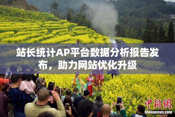 站长统计AP平台数据分析报告发布，助力网站优化升级
