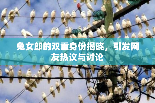 兔女郎的双重身份揭晓，引发网友热议与讨论