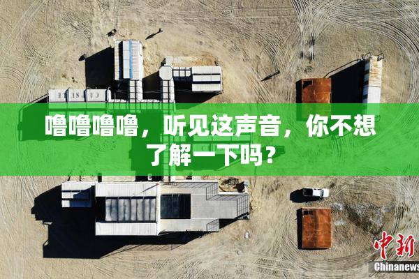 噜噜噜噜，听见这声音，你不想了解一下吗？