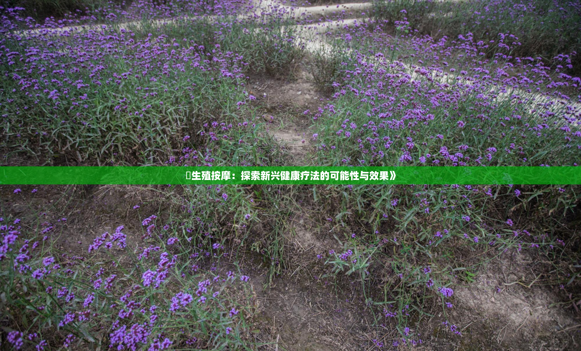 巜生殖按摩：探索新兴健康疗法的可能性与效果》