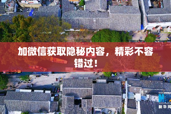 加微信获取隐秘内容，精彩不容错过！
