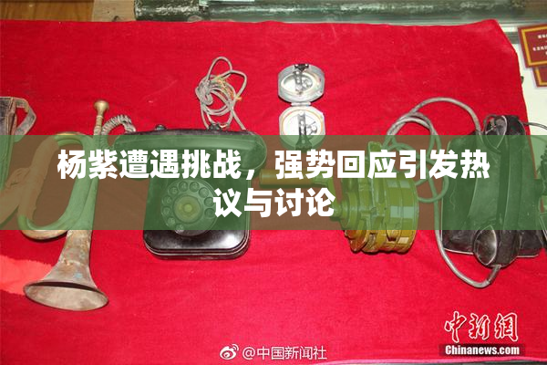 杨紫遭遇挑战，强势回应引发热议与讨论