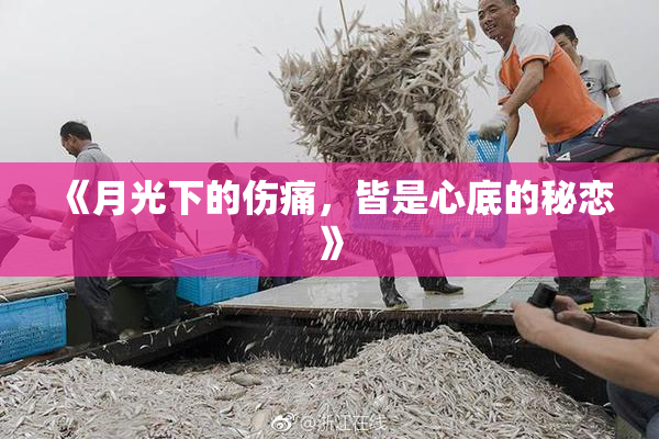 《月光下的伤痛，皆是心底的秘恋》
