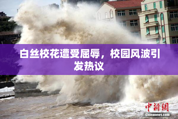 白丝校花遭受屈辱，校园风波引发热议