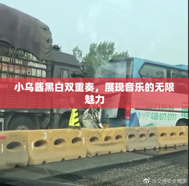 小乌酱黑白双重奏，展现音乐的无限魅力