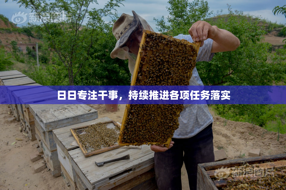 日日专注干事，持续推进各项任务落实