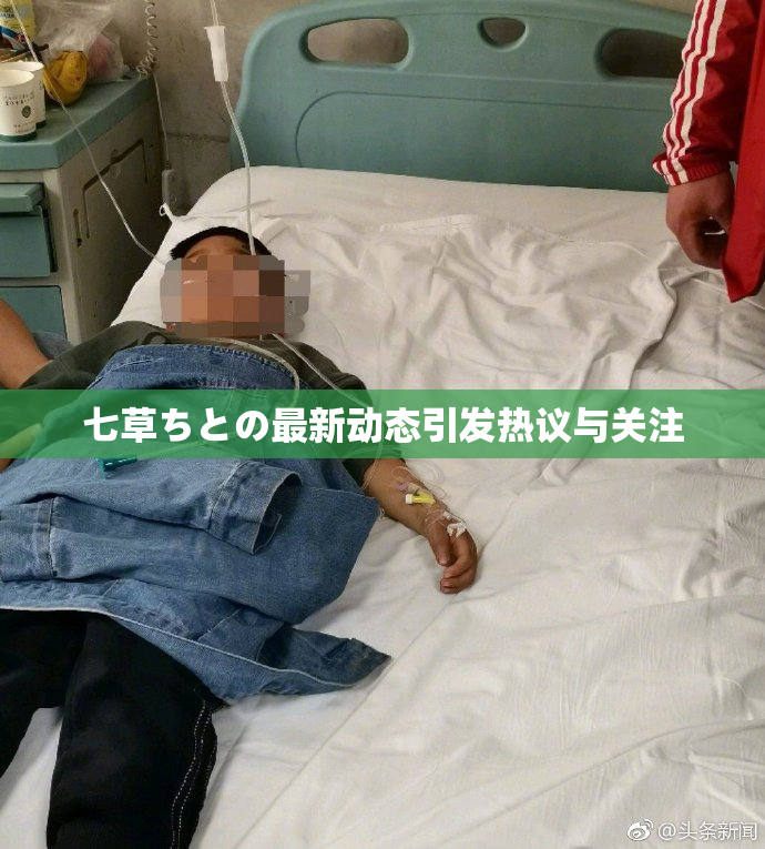 七草ちとの最新动态引发热议与关注