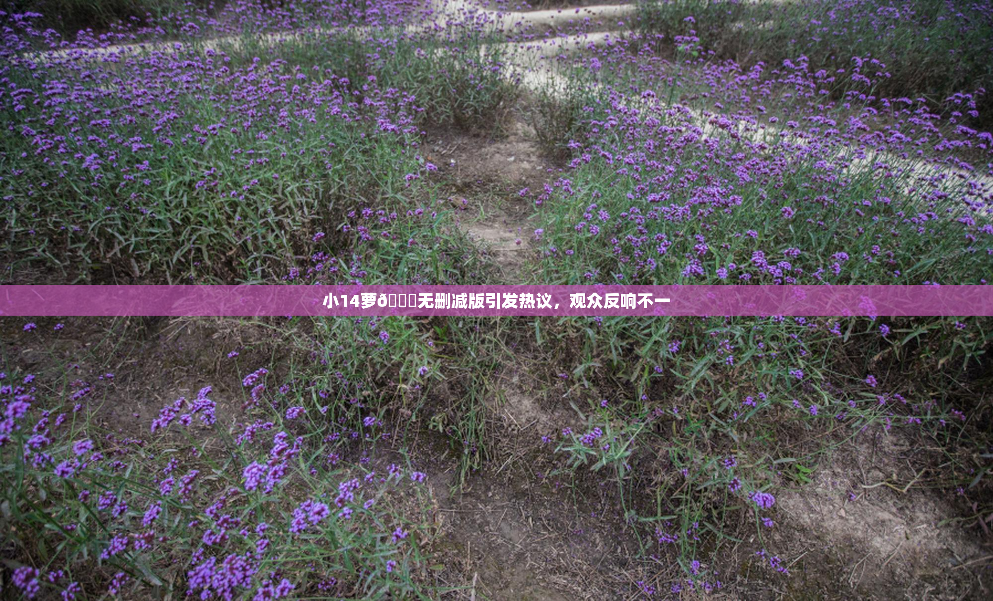 小14萝🔞无删减版引发热议，观众反响不一