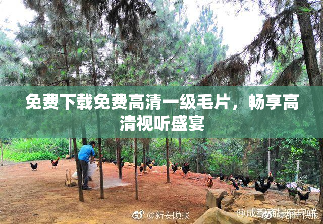 免费下载免费高清一级毛片，畅享高清视听盛宴