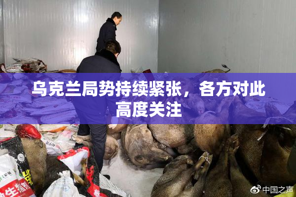 乌克兰局势持续紧张，各方对此高度关注