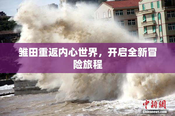 雏田重返内心世界，开启全新冒险旅程