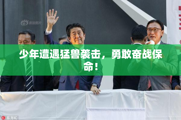 少年遭遇猛兽袭击，勇敢奋战保命！