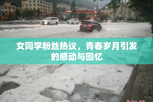 女同学粉丝热议，青春岁月引发的感动与回忆