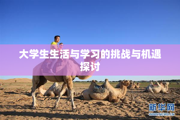 大学生生活与学习的挑战与机遇探讨