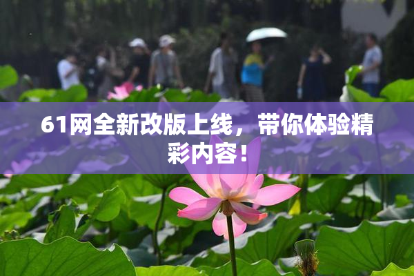 61网全新改版上线，带你体验精彩内容！