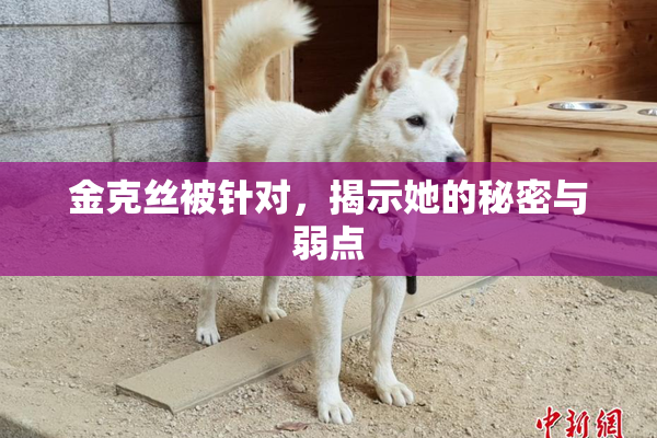 金克丝被针对，揭示她的秘密与弱点